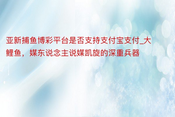 亚新捕鱼博彩平台是否支持支付宝支付_大鲤鱼，媒东说念主说媒凯旋的深重兵器