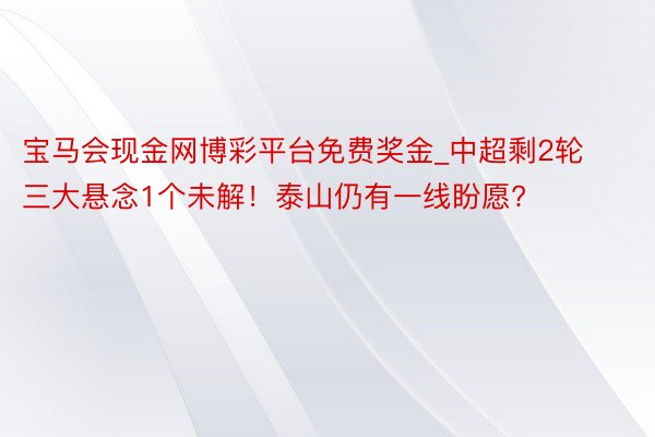 宝马会现金网博彩平台免费奖金_中超剩2轮三大悬念1个未解！泰山仍有一线盼愿?