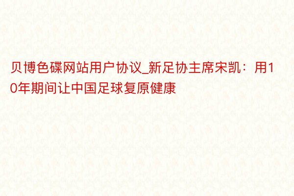 贝博色碟网站用户协议_新足协主席宋凯：用10年期间让中国足球复原健康