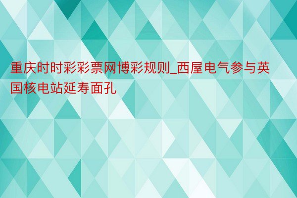 重庆时时彩彩票网博彩规则_西屋电气参与英国核电站延寿面孔